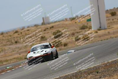 media/May-03-2025-Lucky Dog Racing (Sat) [[206de64b9d]]/Turn 6 (150pm-230pm)/